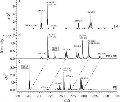 Lipidomic Analysis of TRPC1 Ca2+-Permeable Channel-Knock Out Mouse Demonstrates a Vital Role in Placental Tissue Sphingolipid and Triacylglycerol Homeostasis Under Maternal High-Fat Diet